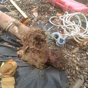 Sewer Repair in 30135